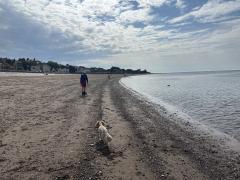 Walking up the beach at low tide at Exmouth